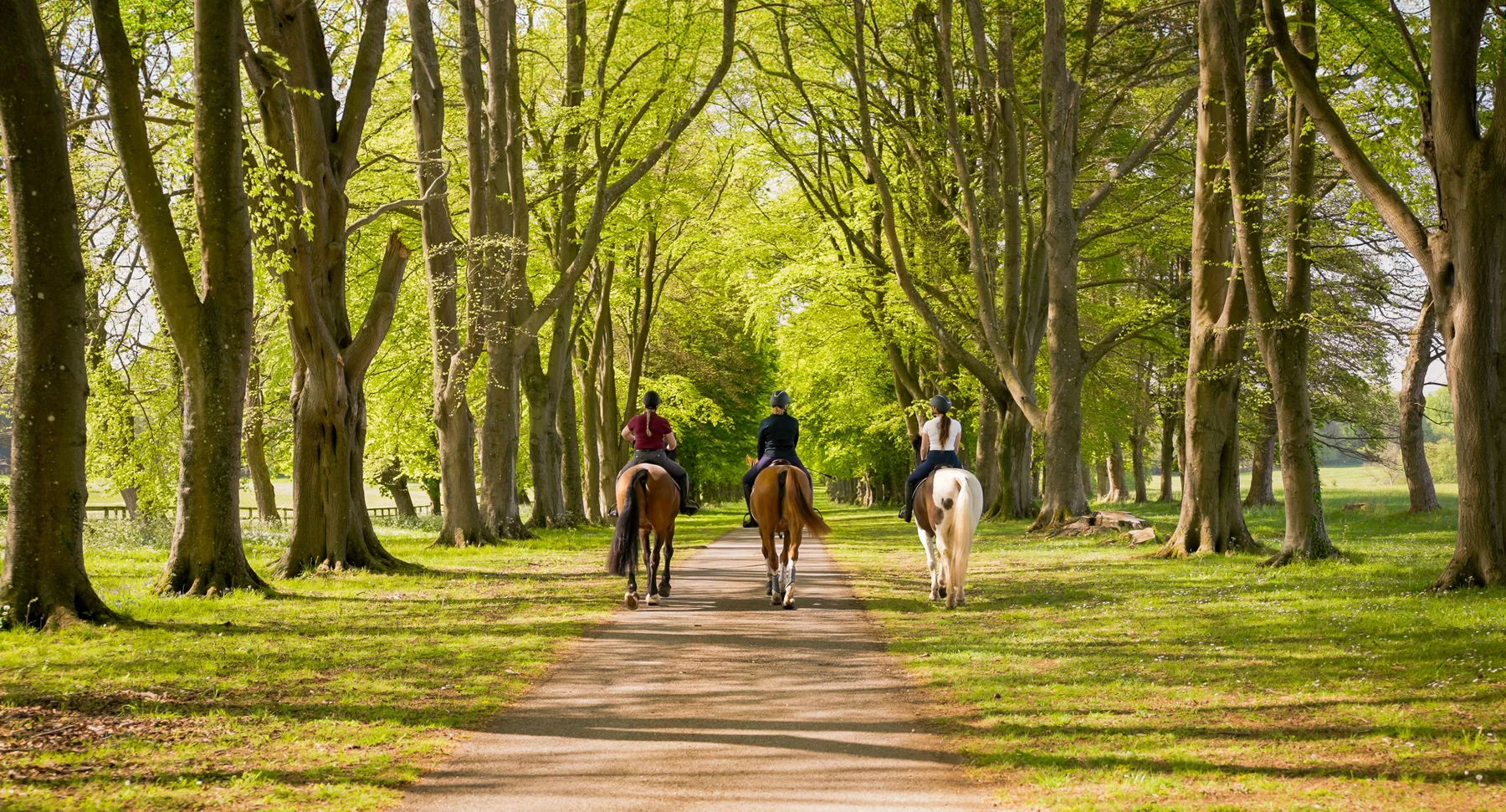Lucknam Park · Equestrian Centre 1