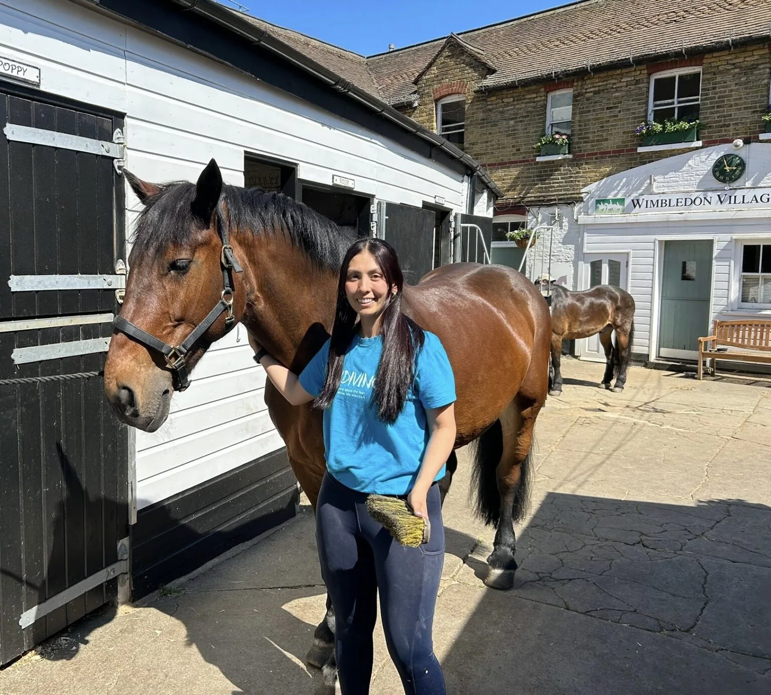 Wimbledon Village Stables