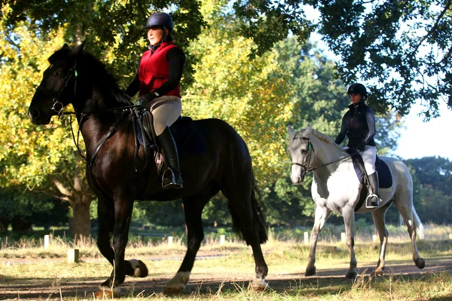 Stag Lodge Stables · Richmond Park