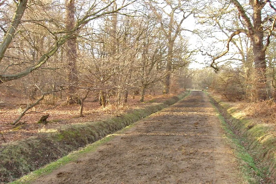 Wayside Stables — riding in Windsor Great Park