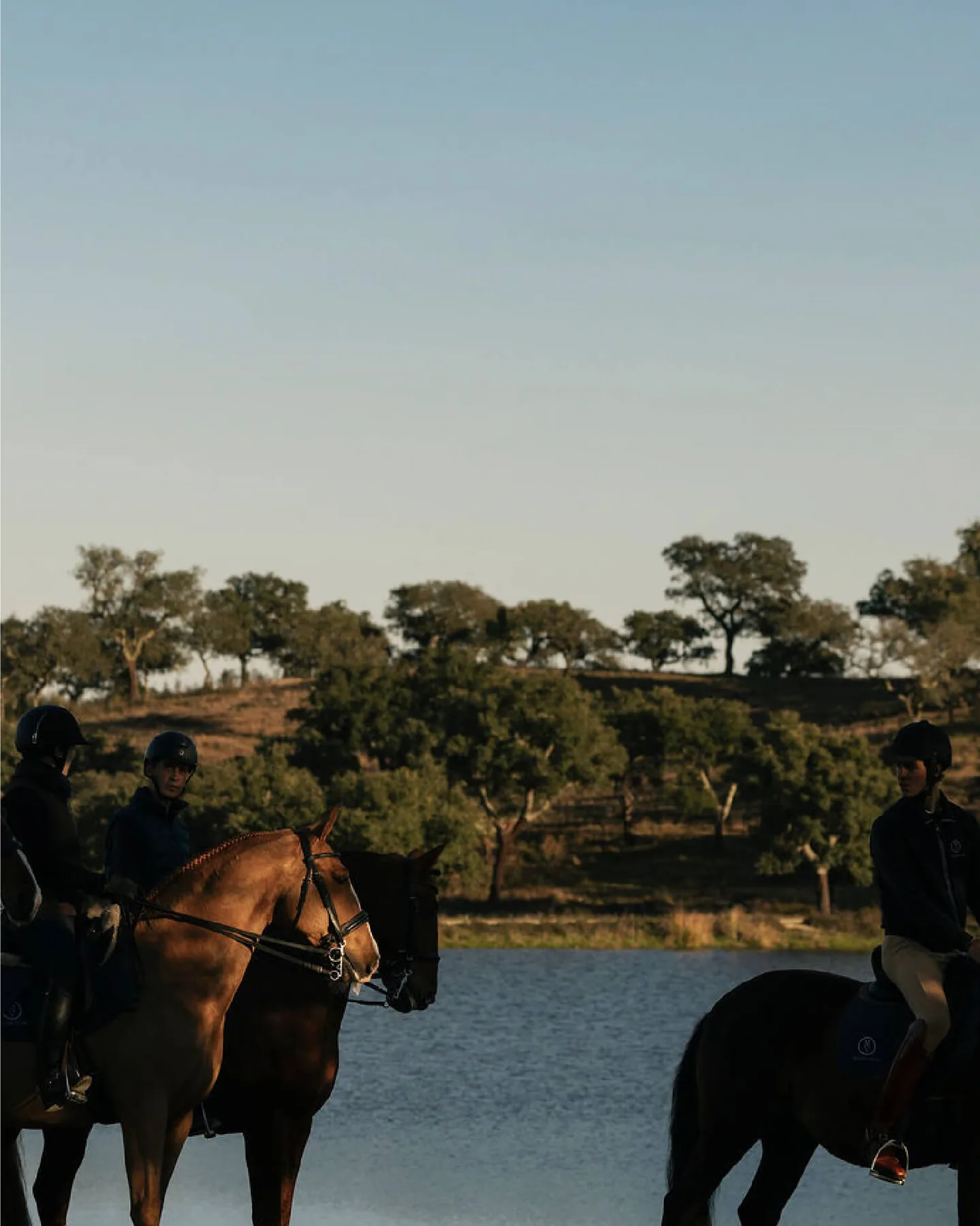 Monte Velho Equo-Resort 2