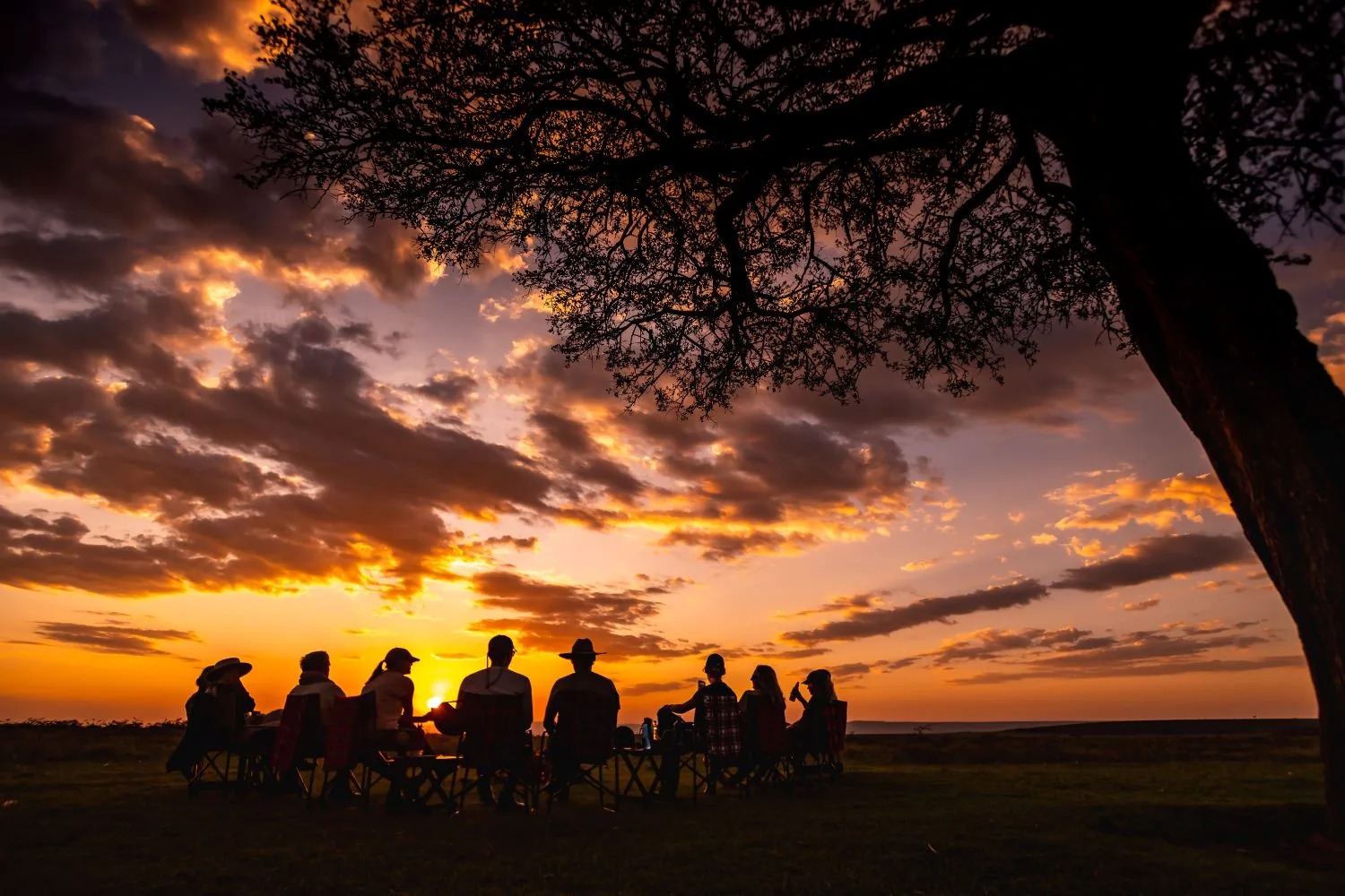 Offbeat Safaris · Masai Mara 1