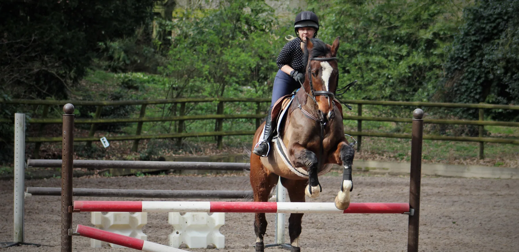 Ingestre Stables