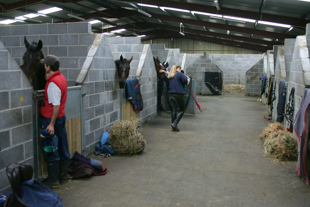 Talland School of Equitation