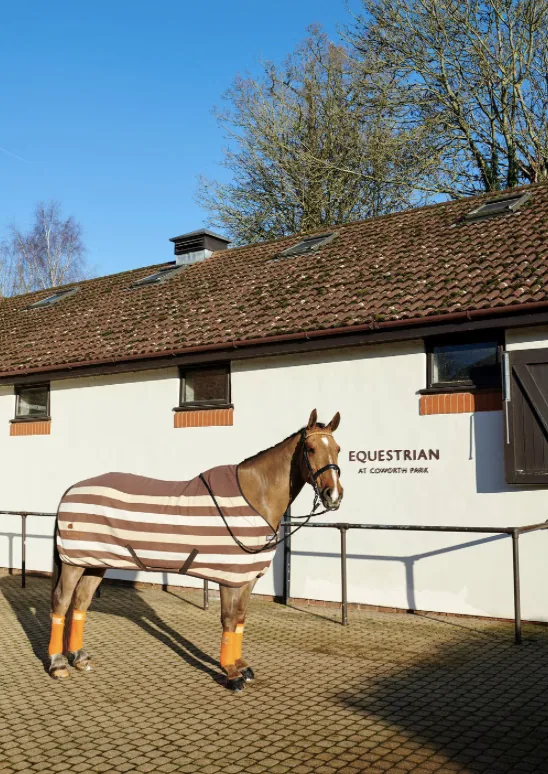 Coworth Park 5