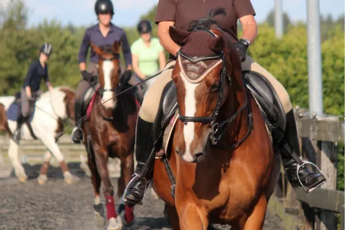 Berkshire Riding Centre