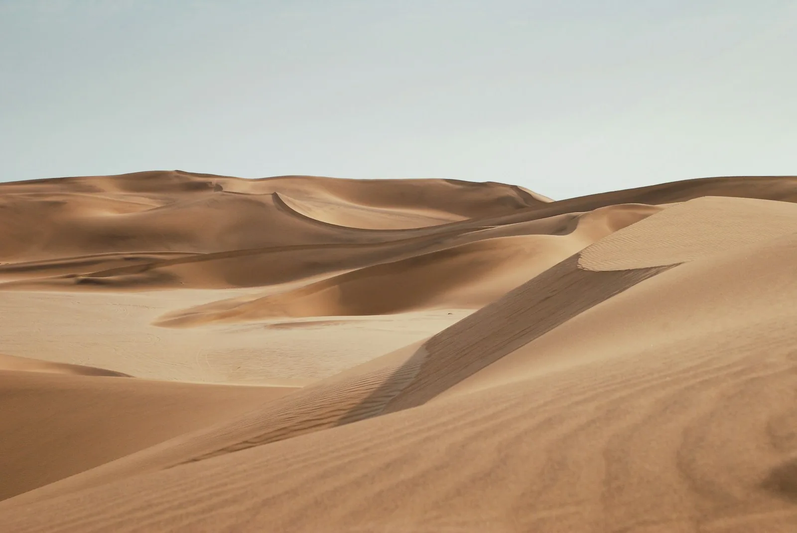 Namib Desert Expedition 1