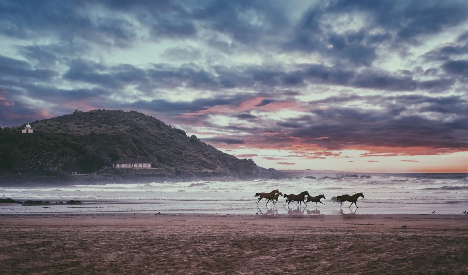 NIHI Sumba · Sandalwood Beach Rides 2
