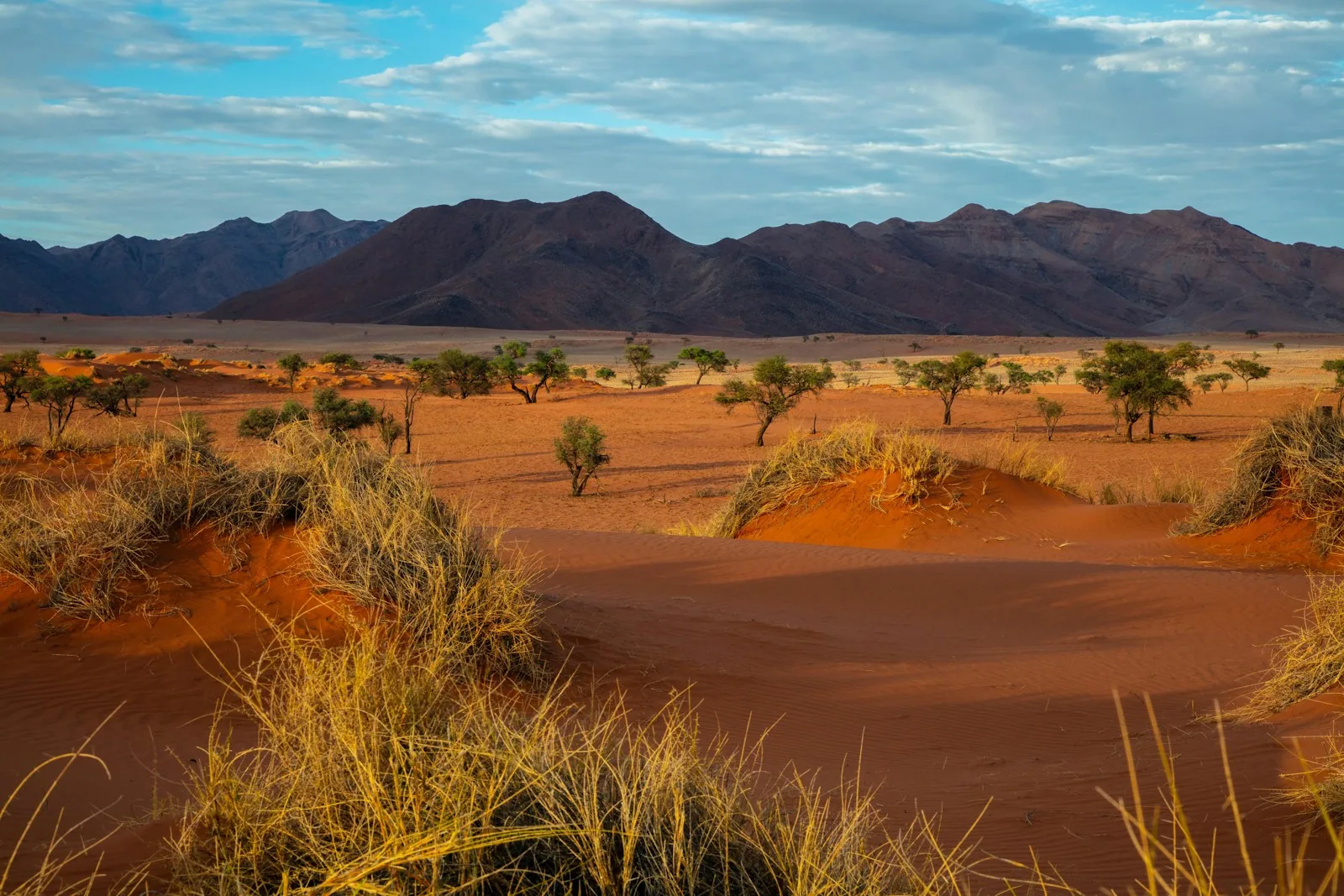 Namib Desert Expedition 4