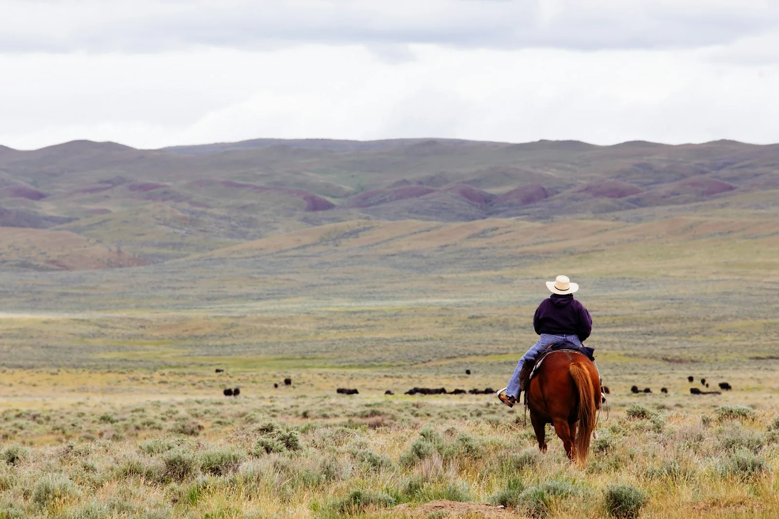 Brush Creek Ranch 2