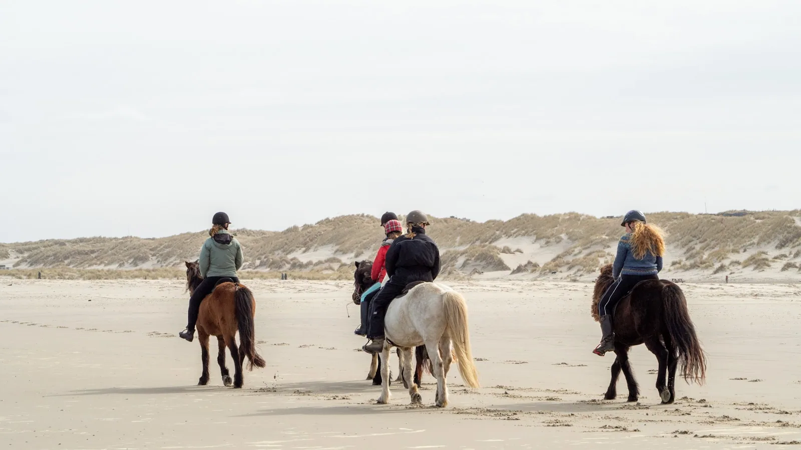 The Camargue · White Horses 1