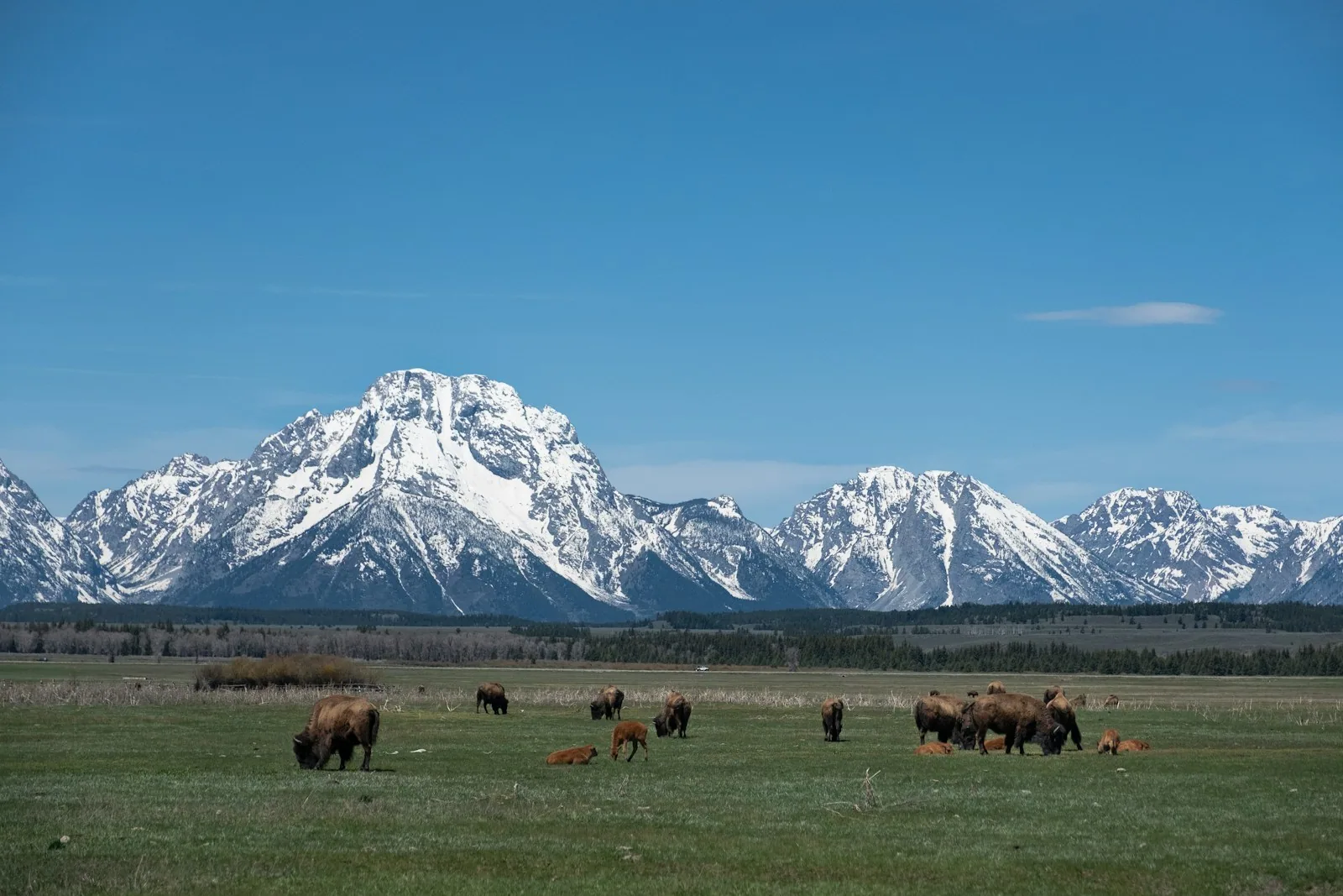 Brush Creek Ranch 1