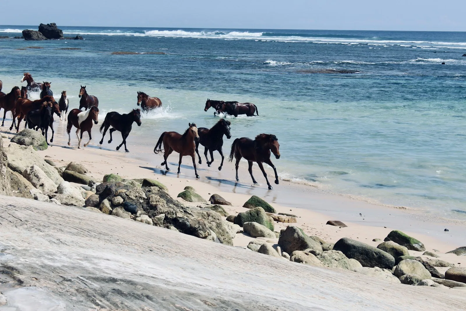 NIHI Sumba · Sandalwood Beach Rides 3