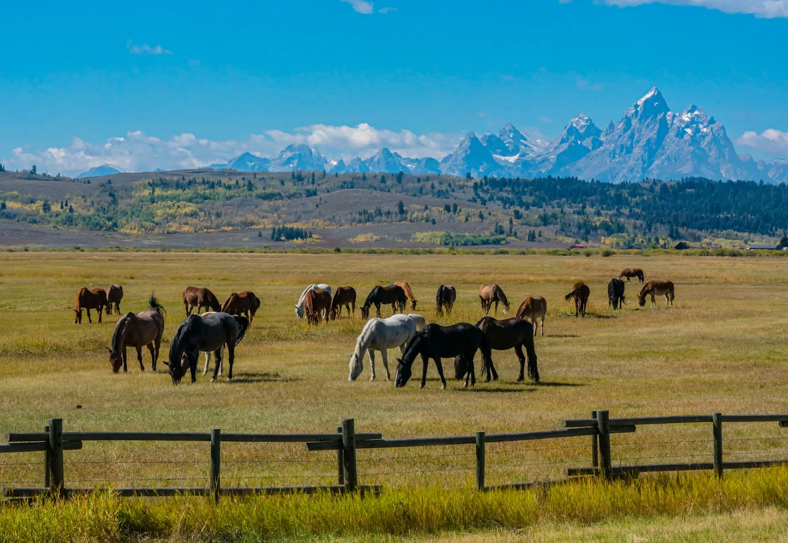 Brush Creek Ranch 3