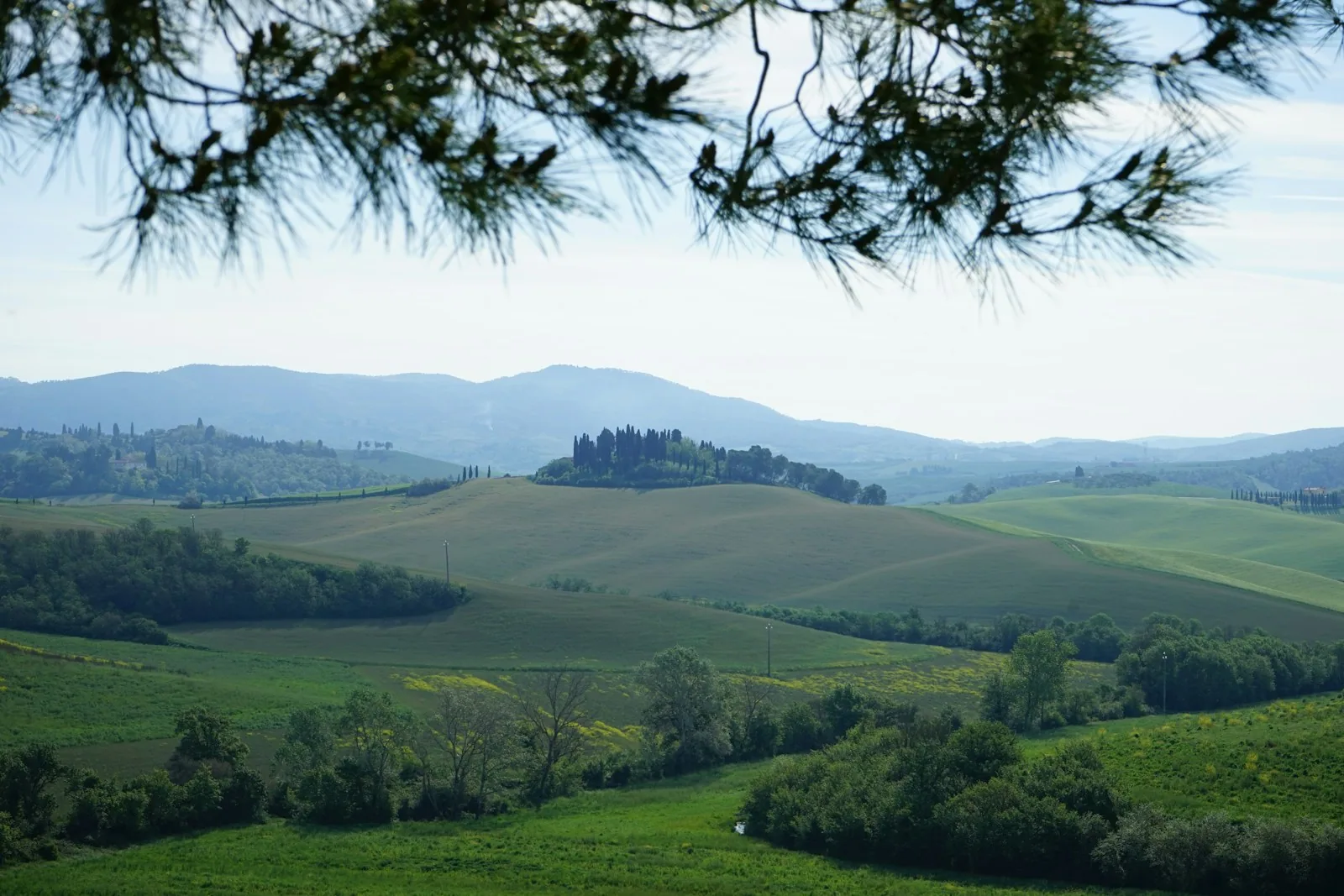 Il Paretaio 1