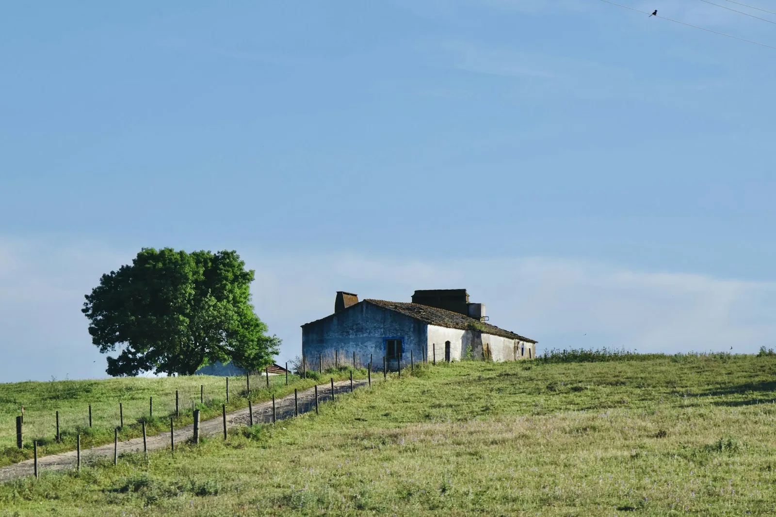 Quinta do Rol 1