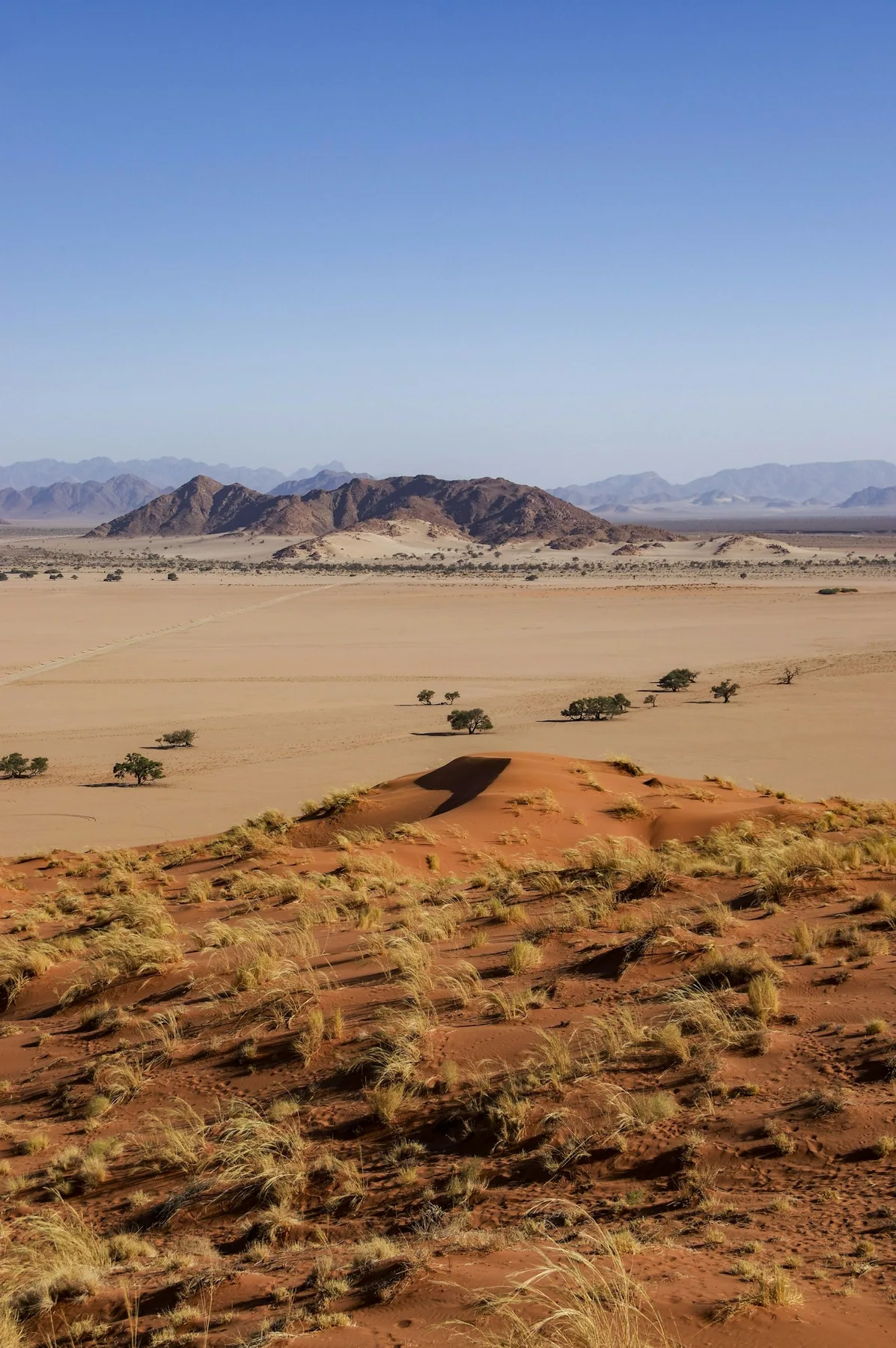 Al Maha · Desert Resort 1