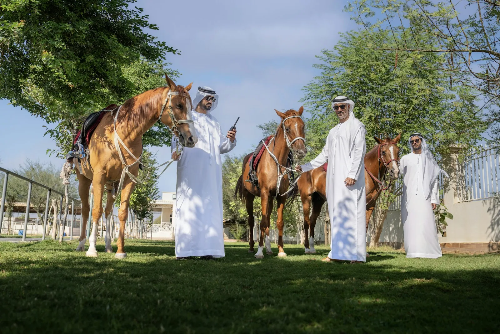 Al Maha · Desert Resort 2