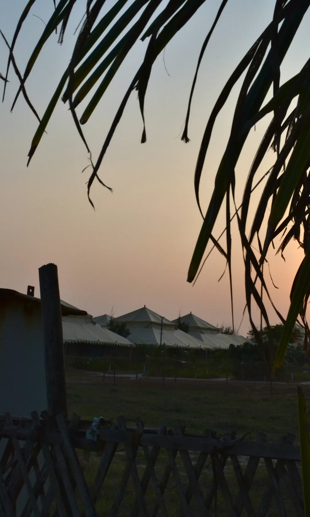 Horizon Horseback · 3 Programmes 4