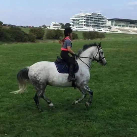 Wildwoods Riding Centre