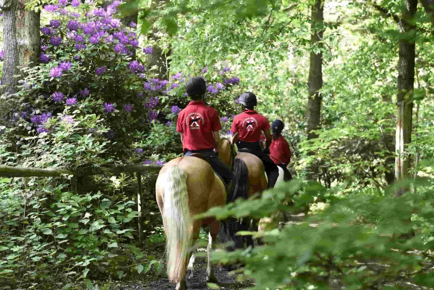 Trent Park Equestrian Centre